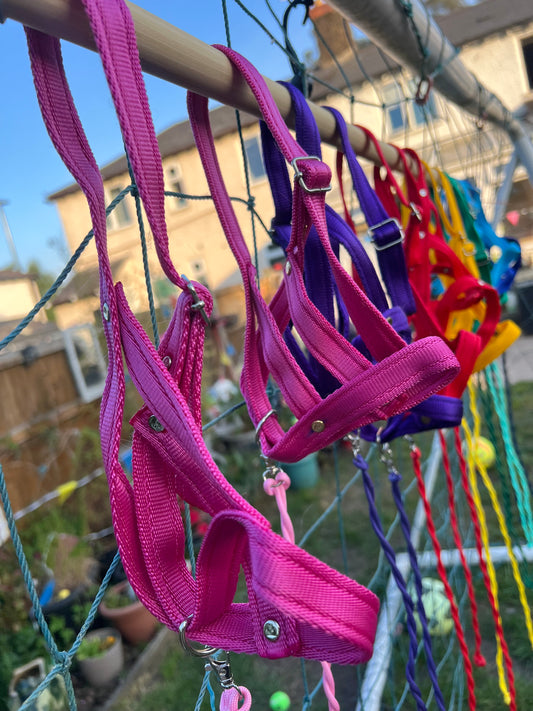 Woodland Whinnies Head collars and lead rope set