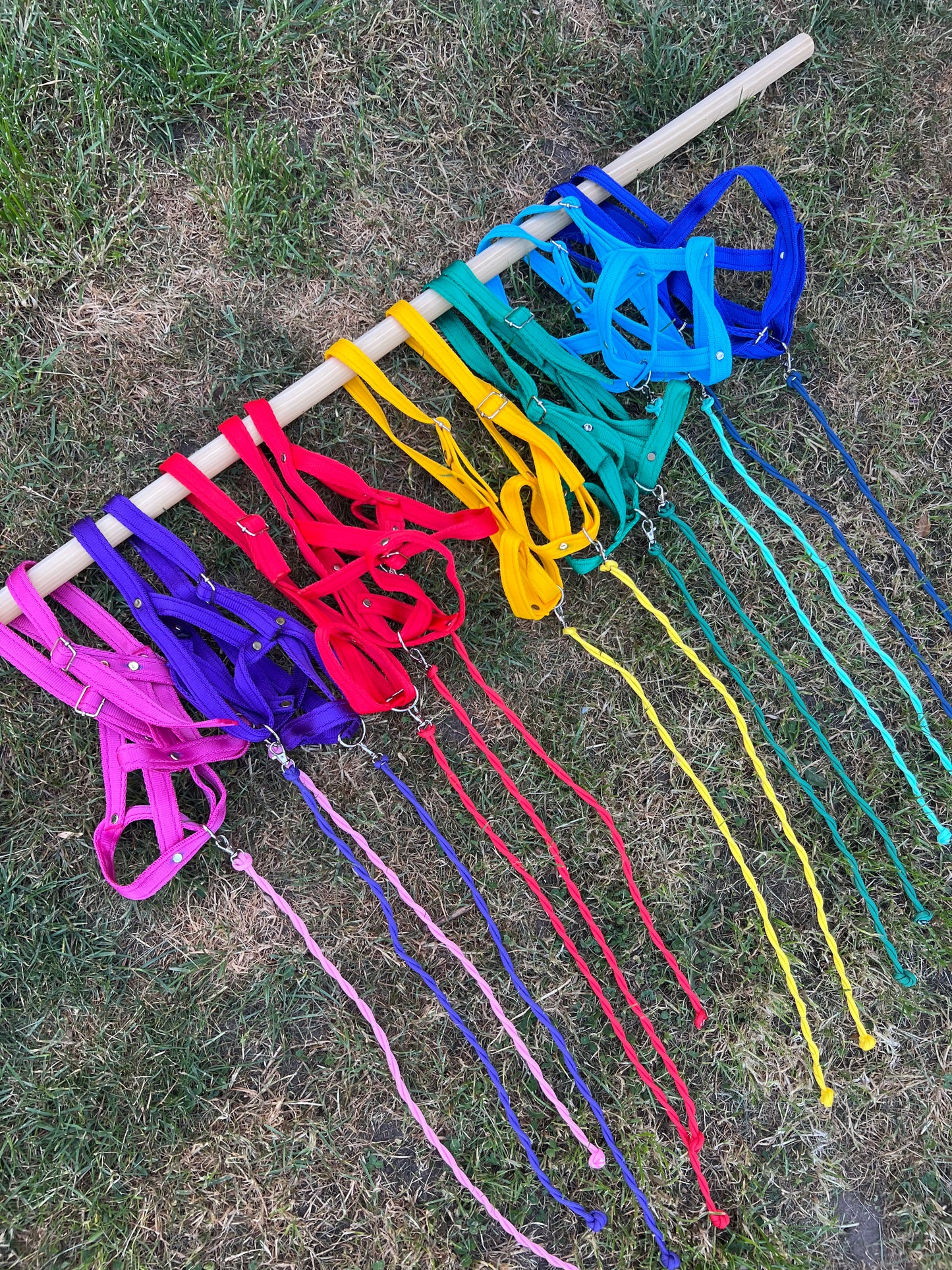 Woodland Whinnies Head collars and lead rope set