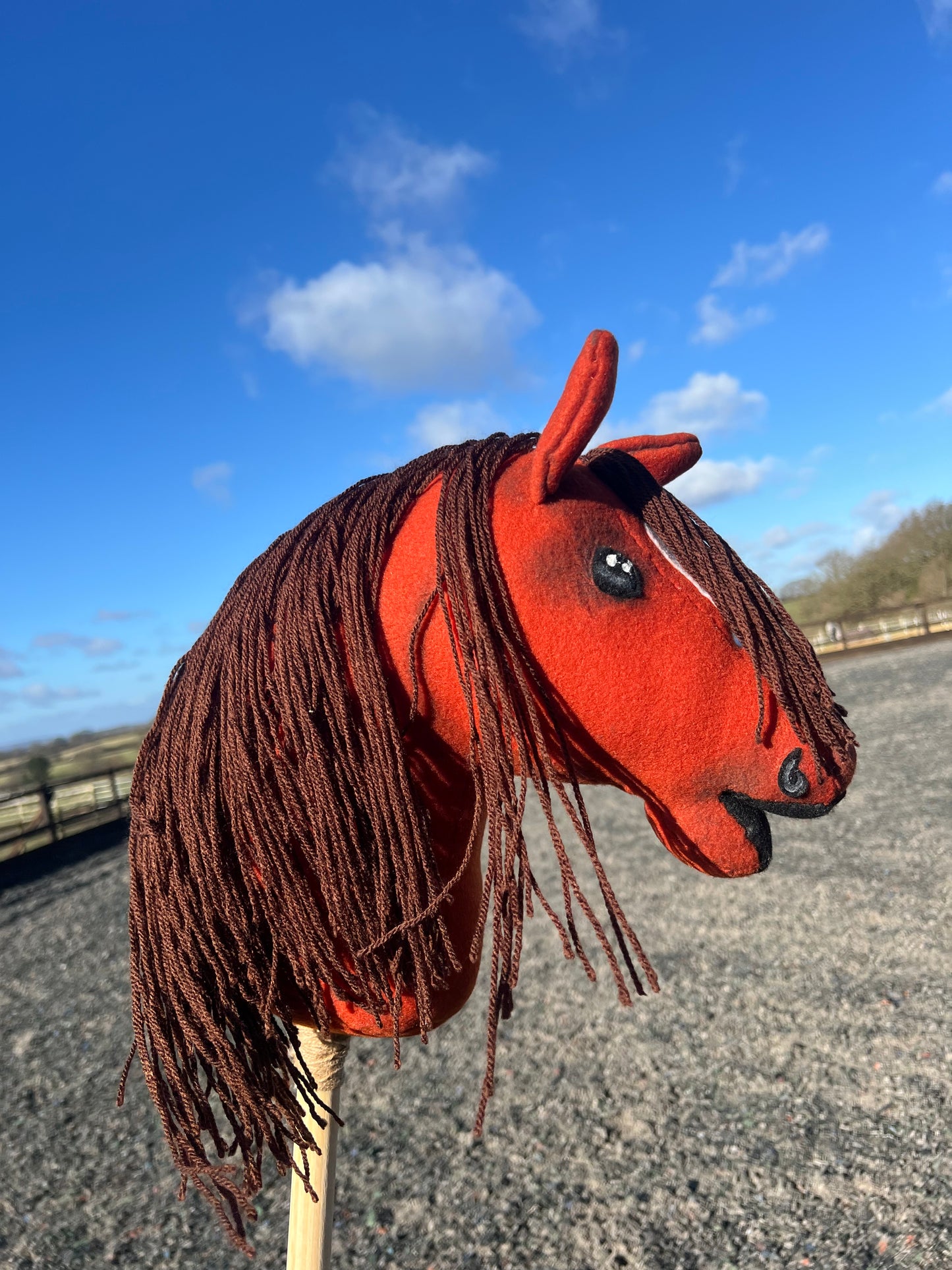 Woodland Whinnies “ Benson”