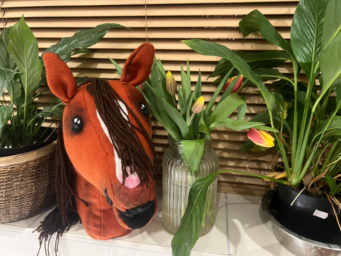 Woodland Whinnies “ Benson”