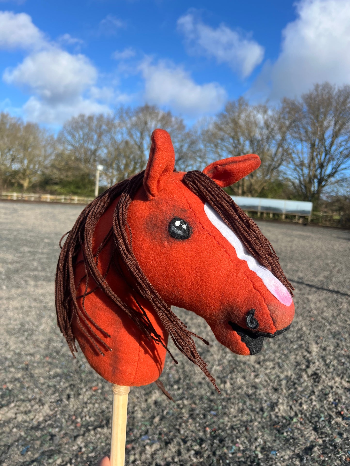 Woodland Whinnies “ Benson”