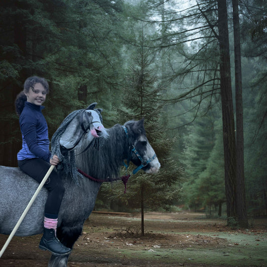 Custom Horse