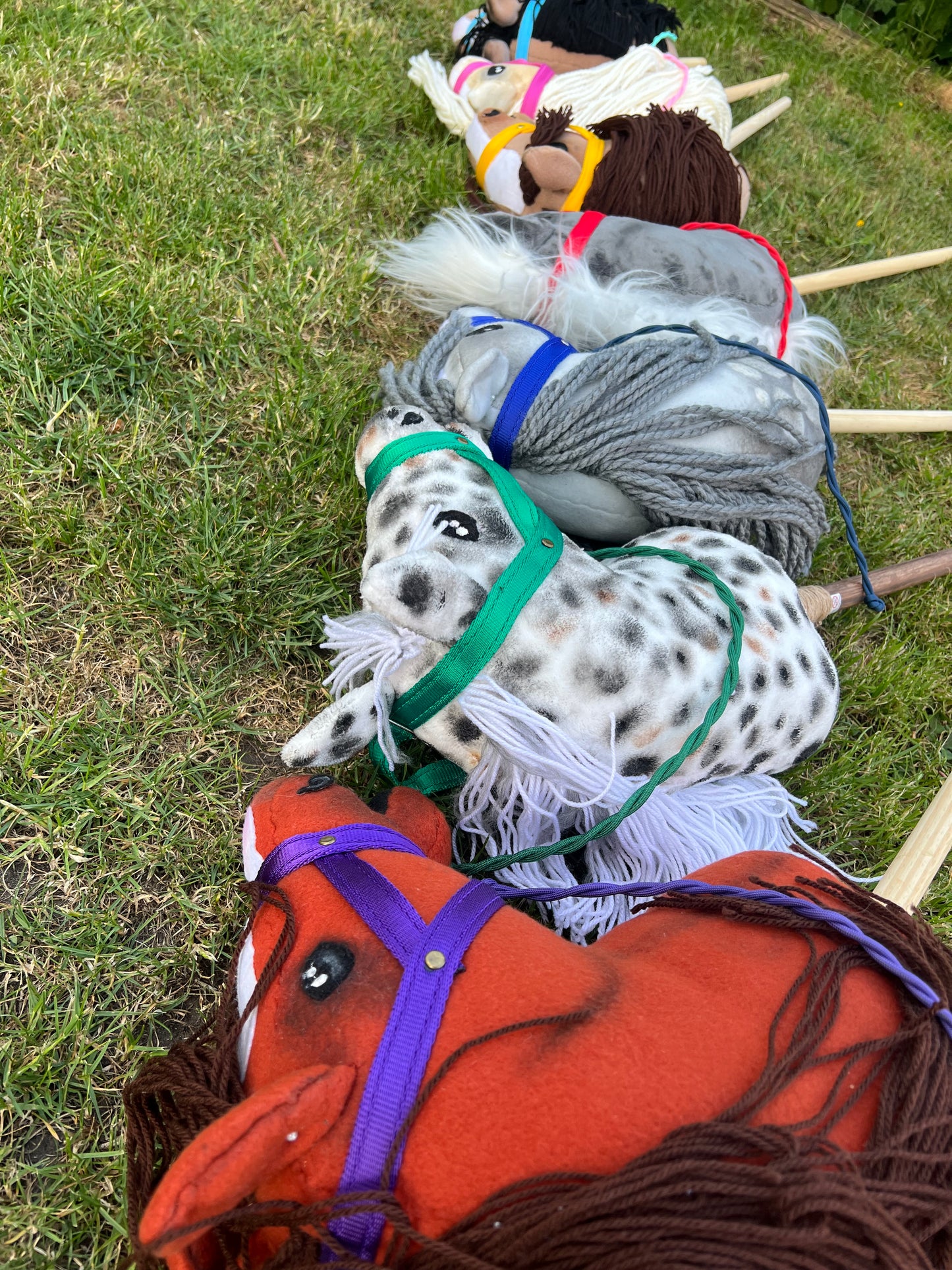 Woodland Whinnies Head collars and lead rope set