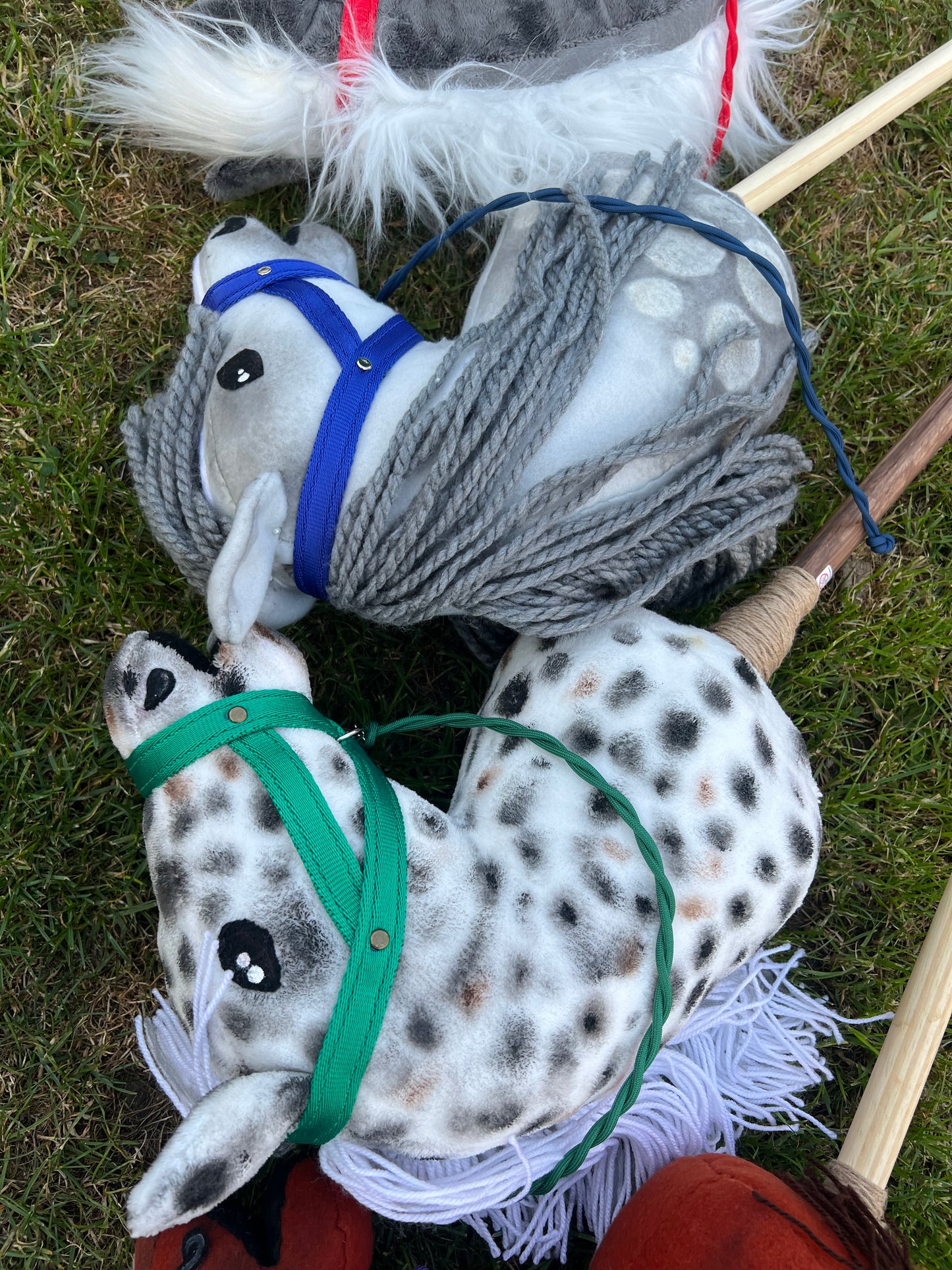 Woodland Whinnies Head collars and lead rope set